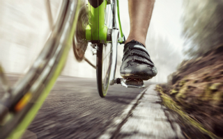 Chain Reaction Cycles